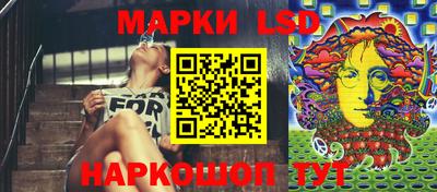 PSILOCYBIN Гатчина