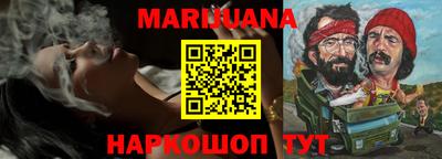 PSILOCYBIN Гатчина