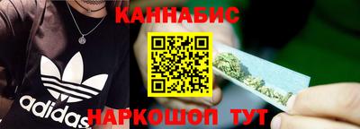 PSILOCYBIN Гатчина