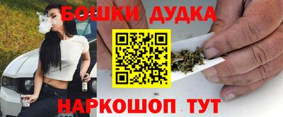 PSILOCYBIN Гатчина