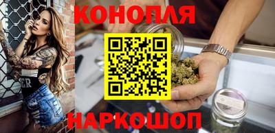 эйфоретик Гай