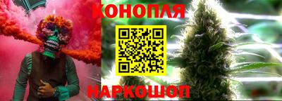 PSILOCYBIN Гатчина