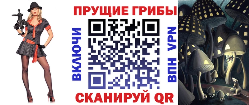 Галлюциногенные грибы Psilocybine cubensis  Зеленодольск 