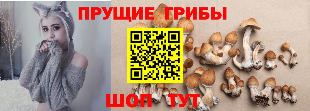 Псилоцибиновые грибы мицелий  купить   Зеленодольск  Вход с VPN 